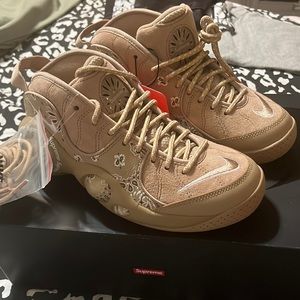 Air zoom flight 95 sp